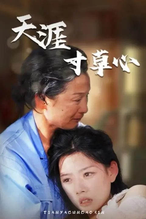 《天涯寸草心》封面