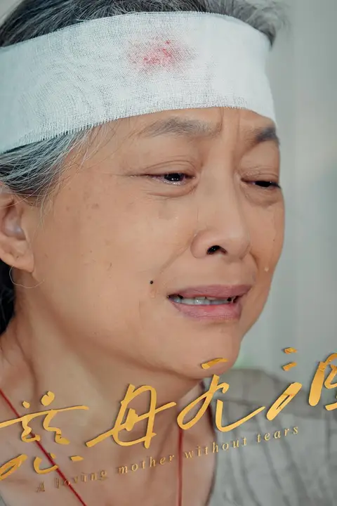 《慈母无泪》封面