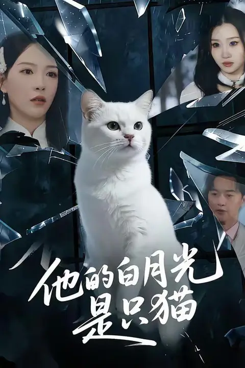 《他的白月光是只猫》封面
