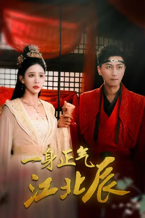 《一身正气江北辰》封面