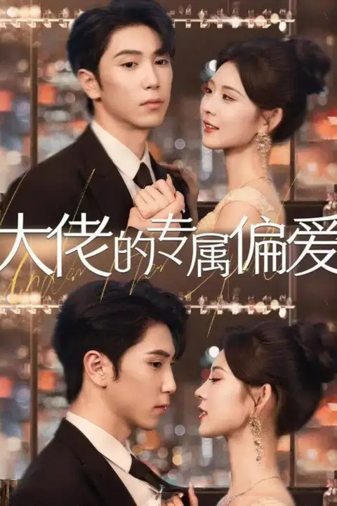 《大佬的专属偏爱》封面