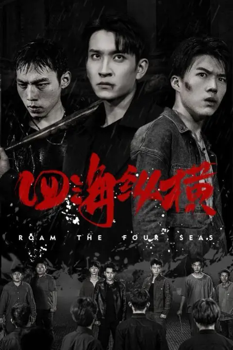 《四海纵横》封面