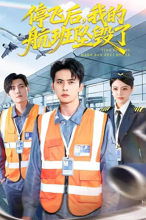 《停飞后，我的航班坠毁了》封面