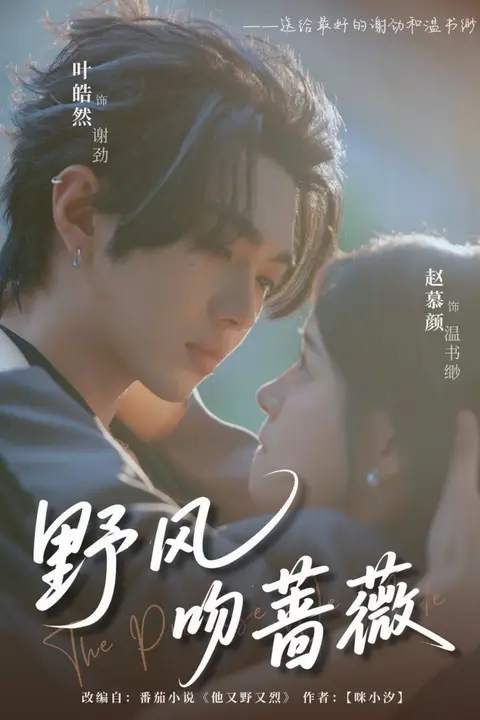 《野风吻蔷薇》封面