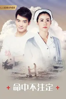 《命中不注定普通话版》封面