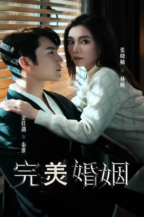 《完美婚姻》封面