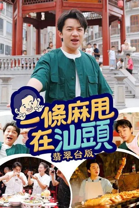 《一条麻甩在汕头》封面