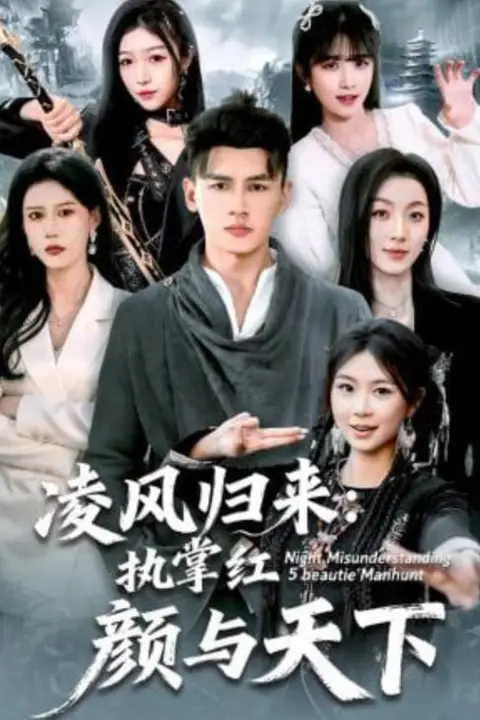 《凌风归来：执掌红颜与天下》封面