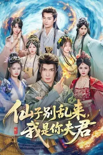《仙子别乱来,我是你夫君》封面