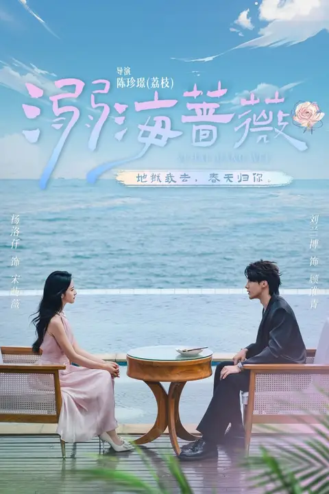 《溺海蔷薇》封面