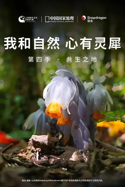 《我和自然 心有灵犀 第四季》封面