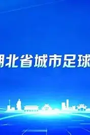 《2026湖北省城市足球联赛1_4决赛全场回放:襄阳东风风神VS荆州恒隆》封面