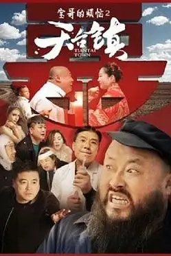 《天台镇》封面