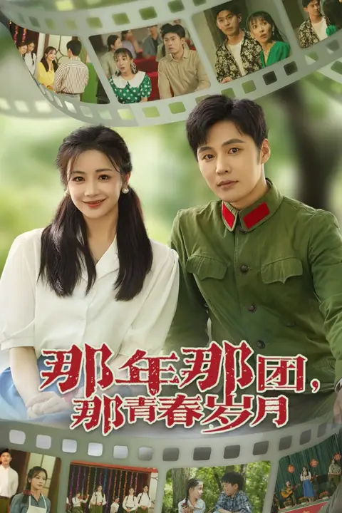 《那年那团那青春岁月》封面