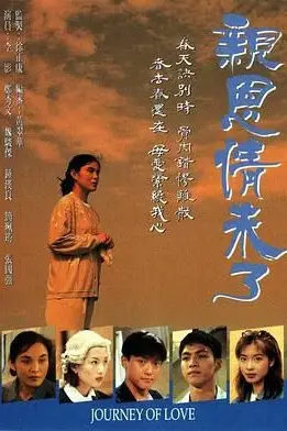 《亲恩情未了》封面