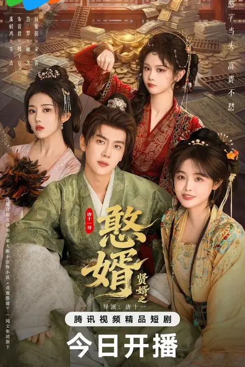 《贤婿之憨婿》封面