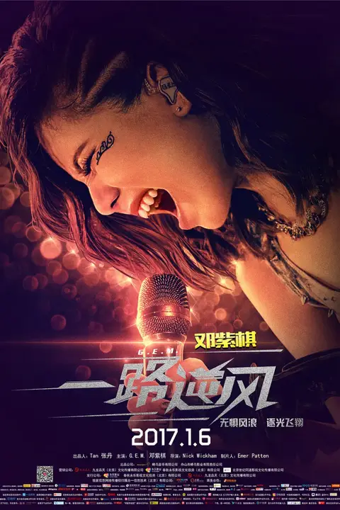 《一路逆风》封面