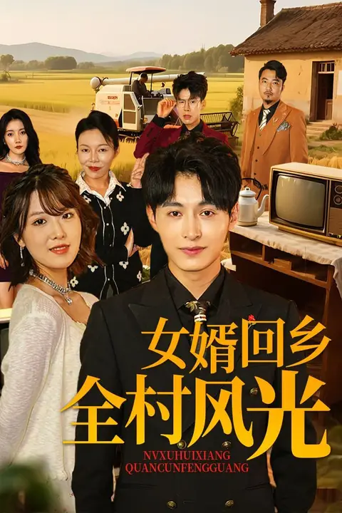 《女婿回乡全村风光》封面