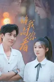 《许我向你看》封面