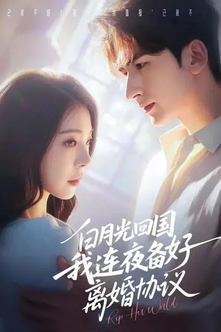 《白月光回国我连夜备好离婚协议》封面