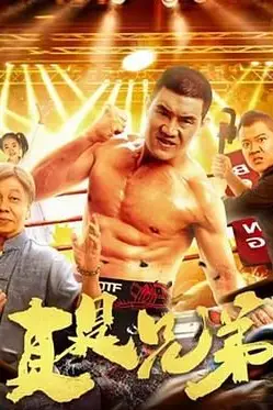 《真是兄弟》封面