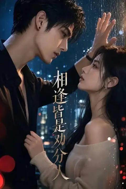 《相逢皆是劝分人》封面