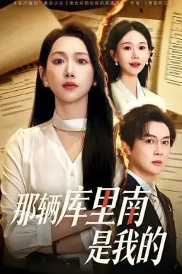 《那辆库里南是我的》封面
