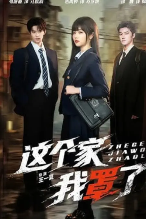 《这个家我罩了》封面