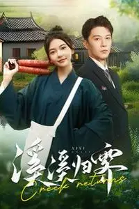 《溪溪归霁》封面