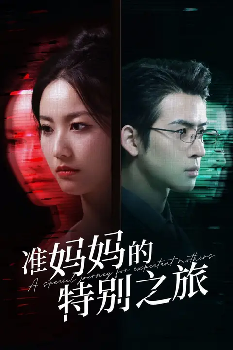 《准妈妈的特别之旅》封面