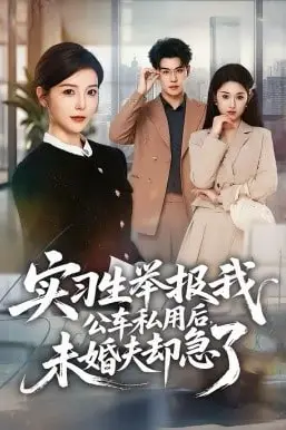 《实习生举报我公车私用后，未婚夫却急了》封面