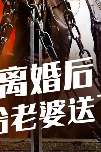 《离婚后，我给老婆送飞机》封面