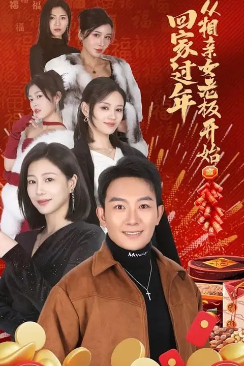 《回家过年从相亲女老板开始》封面