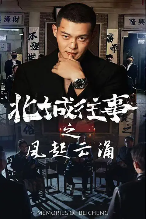 《北城往事之风起云涌》封面