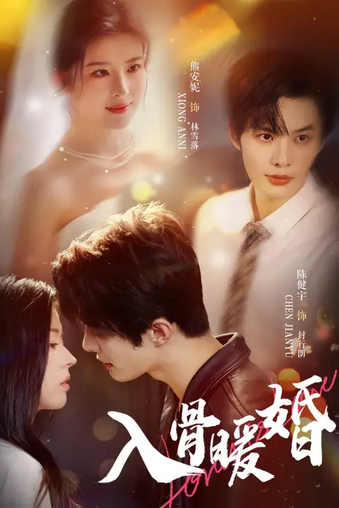 《入骨暖婚》封面