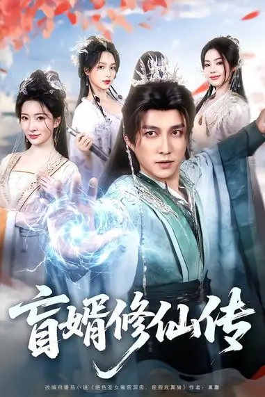 《直婿修仙传》封面