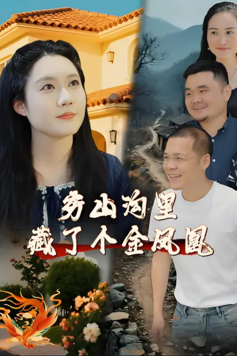 《穷山沟里藏了个金凤凰》封面