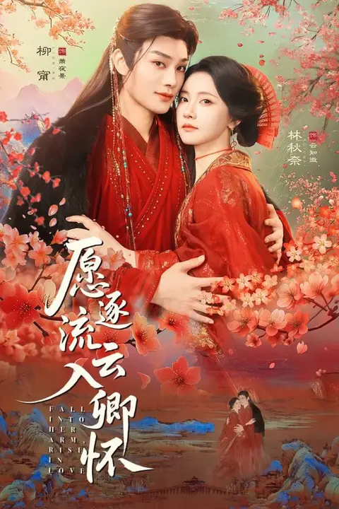 《愿逐流云入卿怀》封面