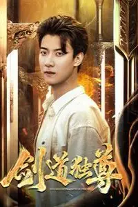 《新剑道独尊》封面