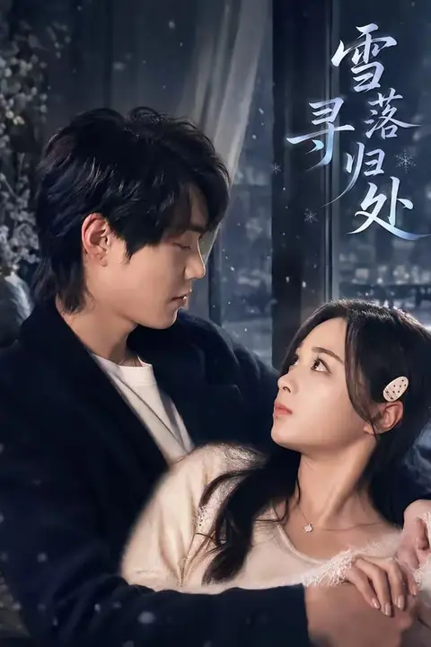 《雪落寻归处》封面