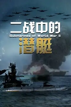 《二战中的潜艇》封面