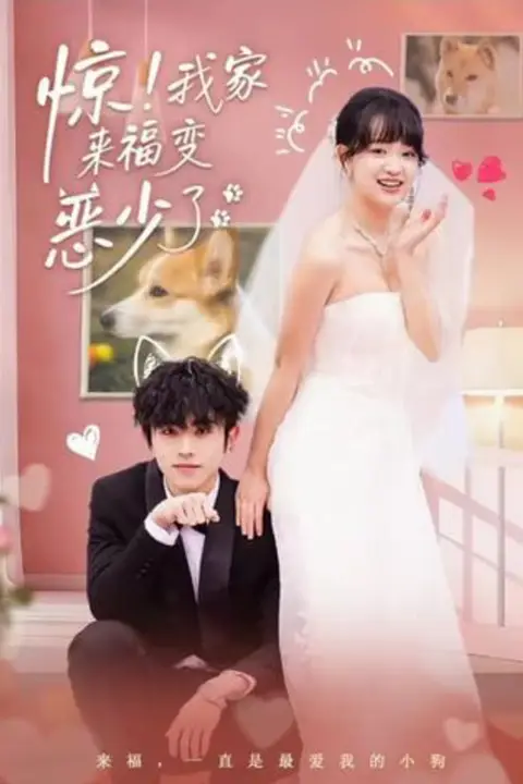 《惊！我家来福变恶少了（忠犬变恶少）》封面