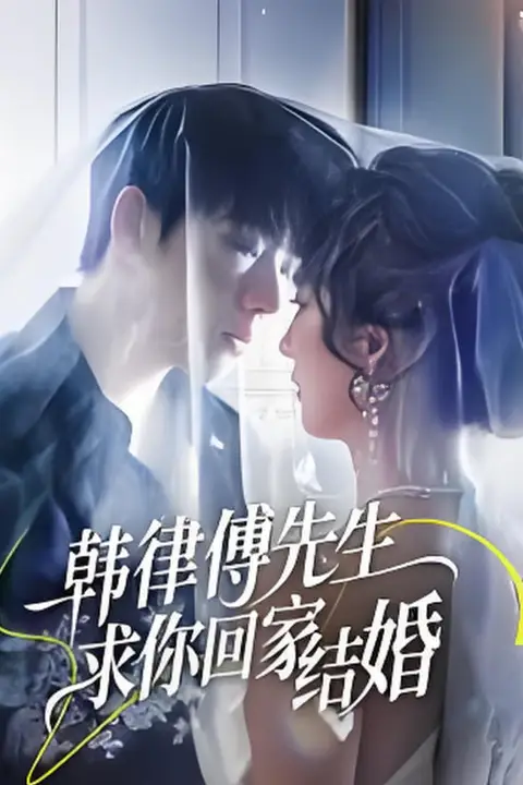 《韩律傅先生求你回家结婚》封面