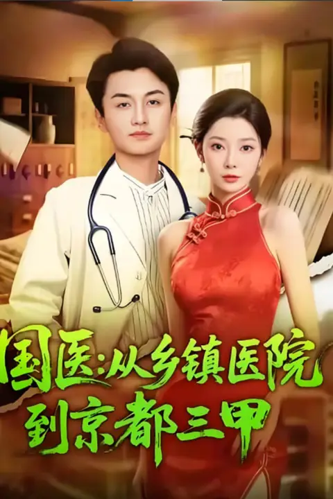 《国医从乡镇医院到京都三甲》封面
