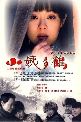 《小姨多鹤》封面