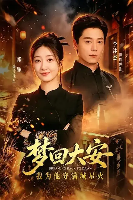 《梦回大安,我为他守满城星火》封面