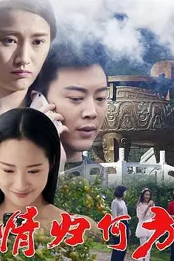 《情归何方》封面