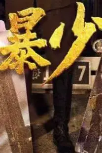 《狂暴少帅》封面