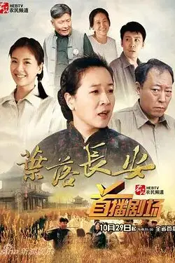 《叶落长安》封面