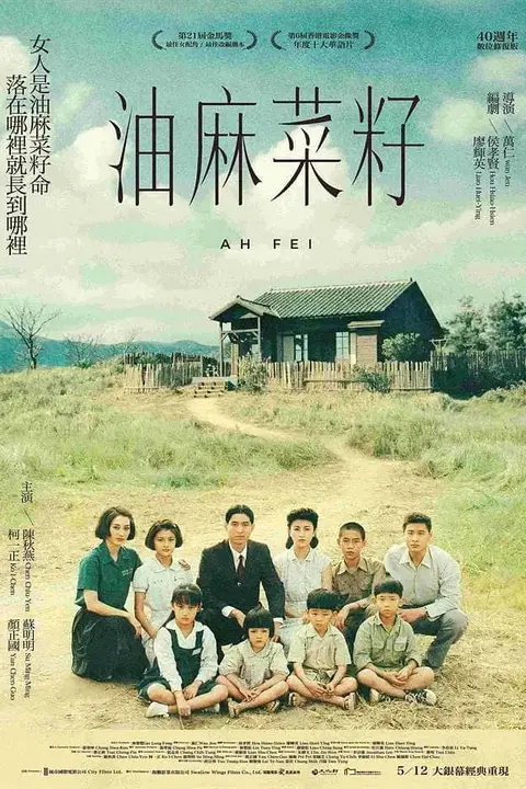 《油麻菜籽》封面